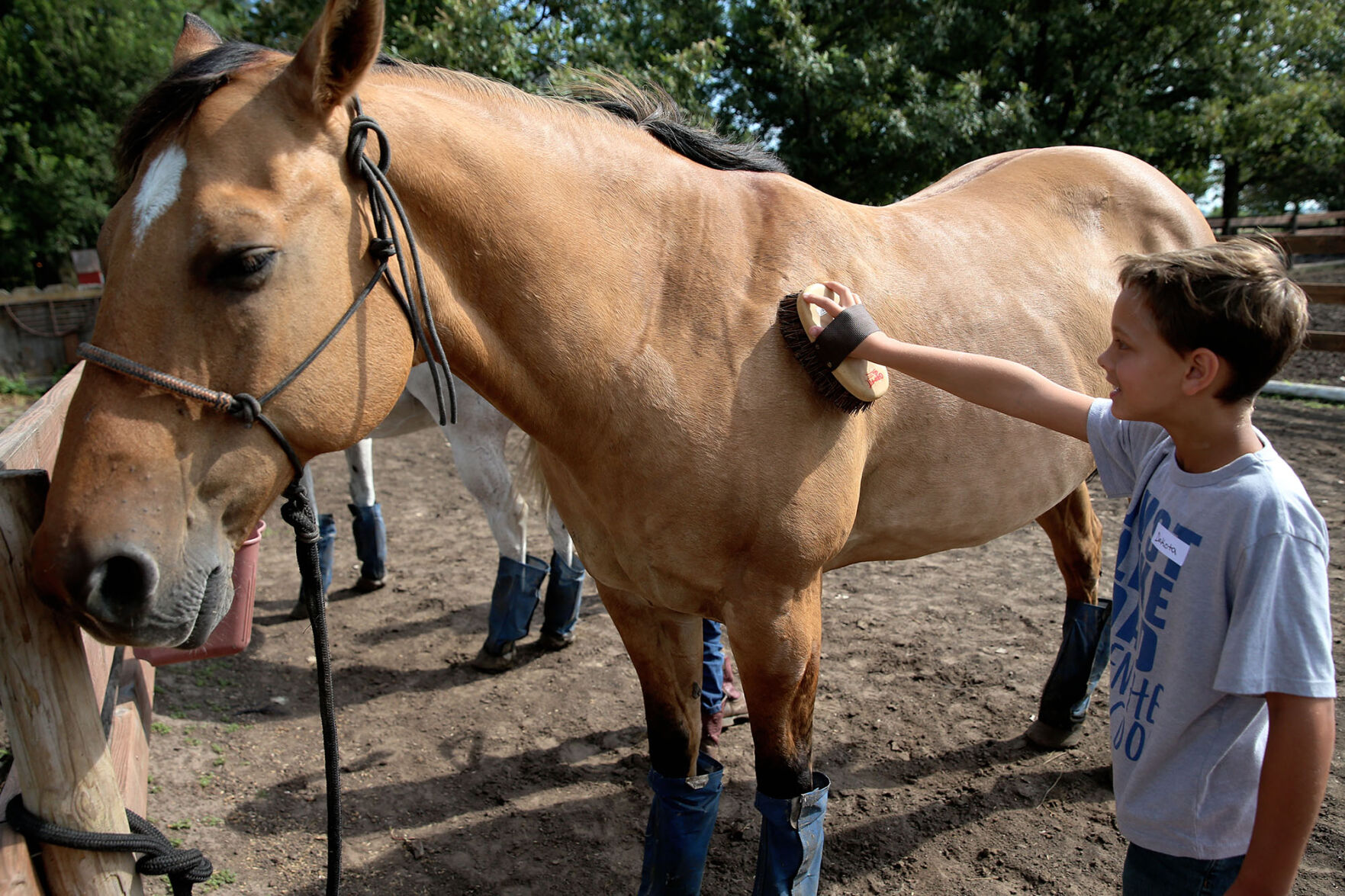 072722-gii-news-equine-science-jrs-p4